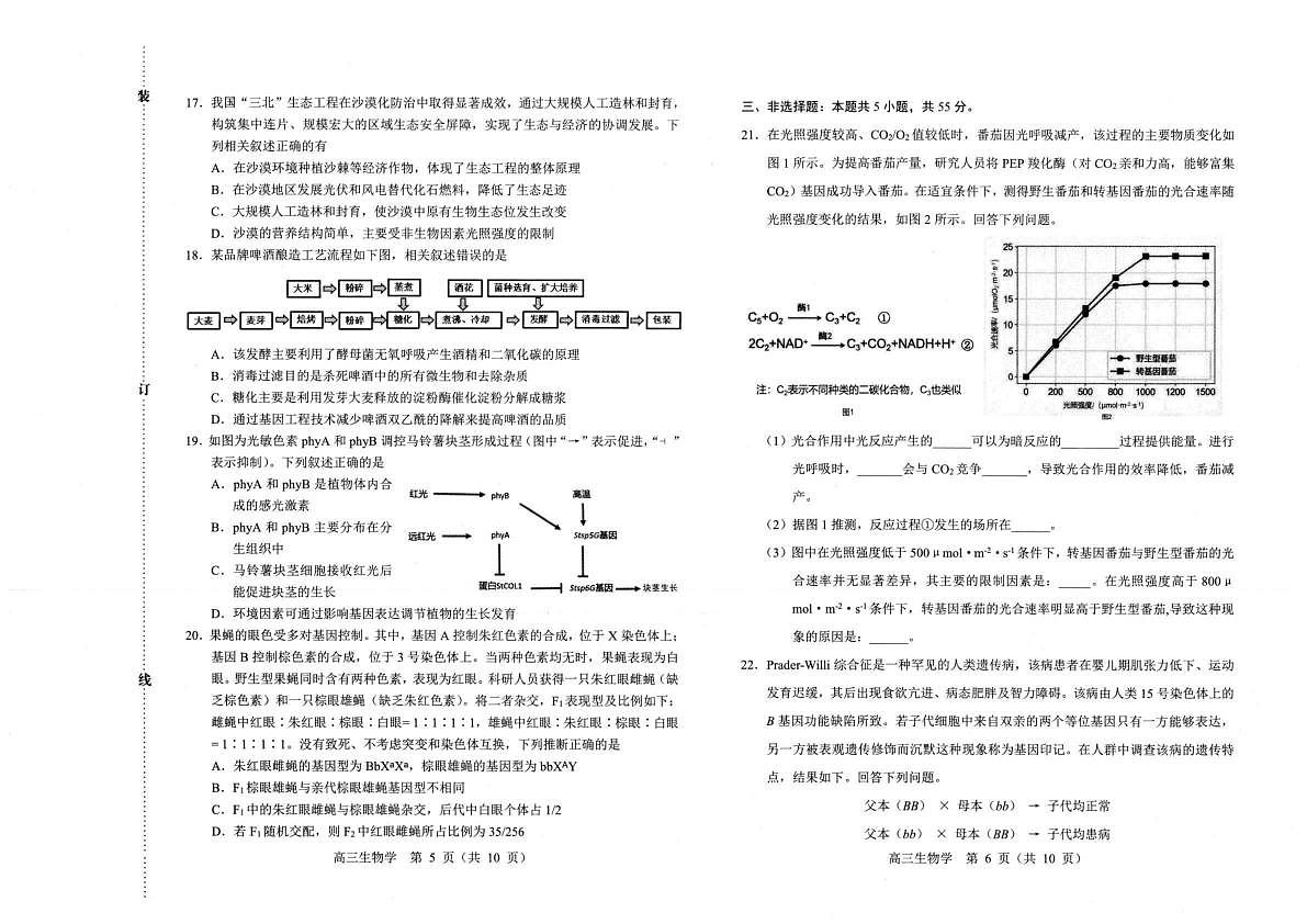 18106344第3页