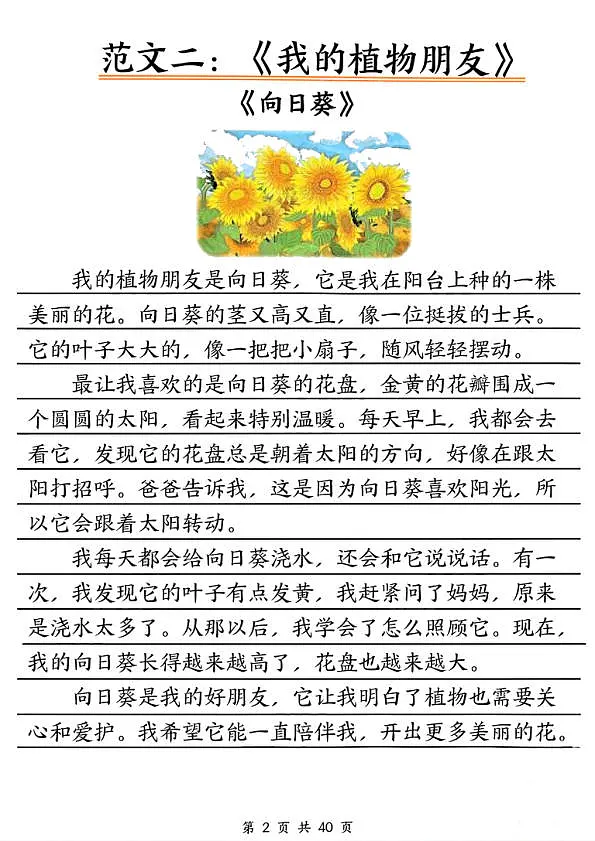 18106925第3页