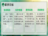 20.2  生态系统的组成（课件）2025-2026学年北师大八年级生物下册