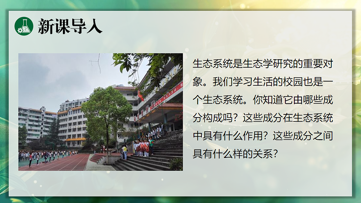 18106931第3页