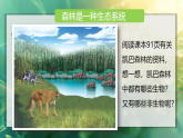 20.2  生态系统的组成（课件）2025-2026学年北师大八年级生物下册