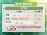 20.2  生态系统的组成（课件）2025-2026学年北师大八年级生物下册
