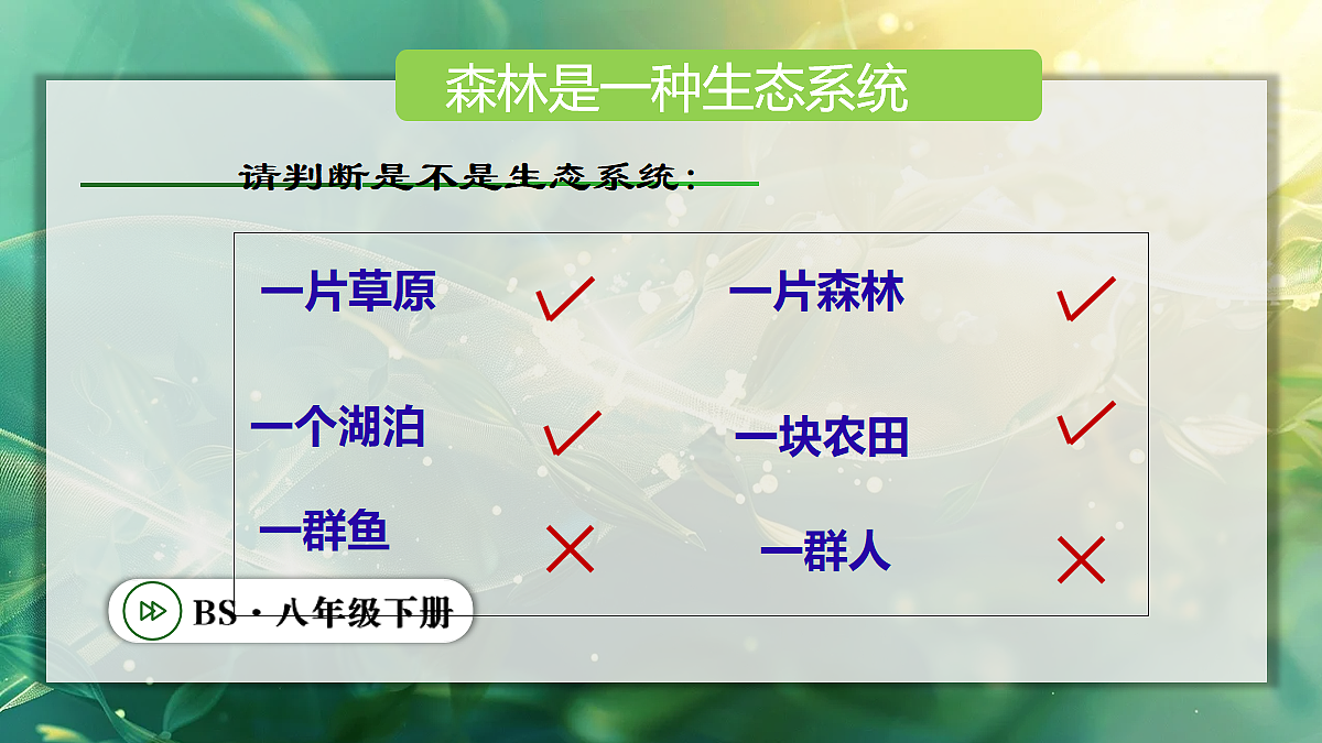 18106931第7页