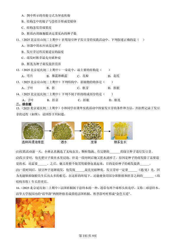 18107012第3页