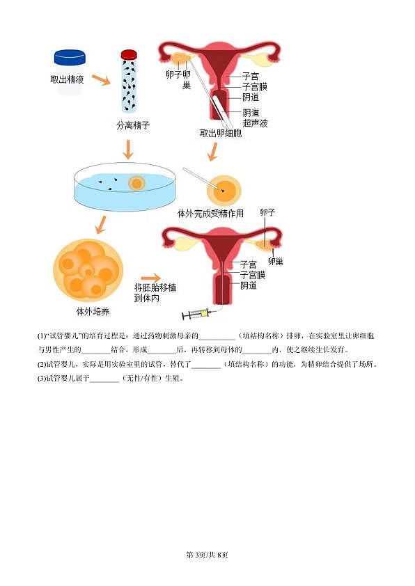 18107014第3页