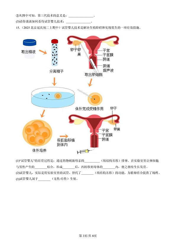 18107015第3页