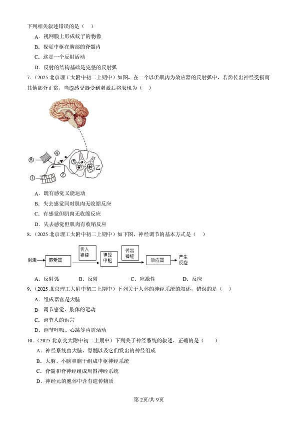 18107019第2页