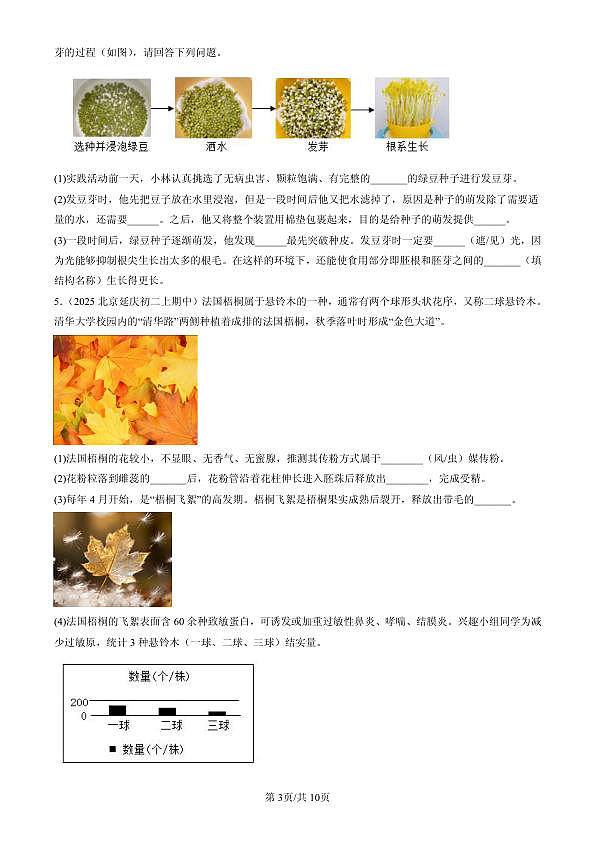 18107021第3页