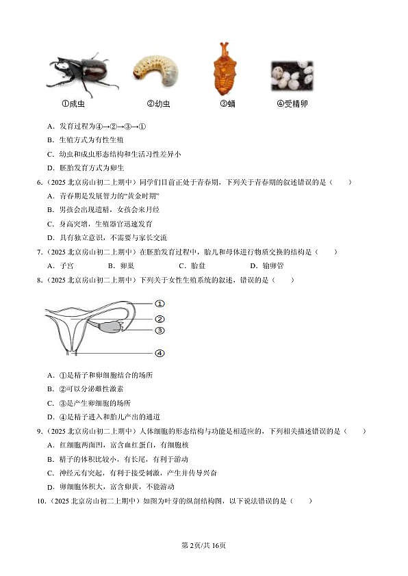 18107022第2页