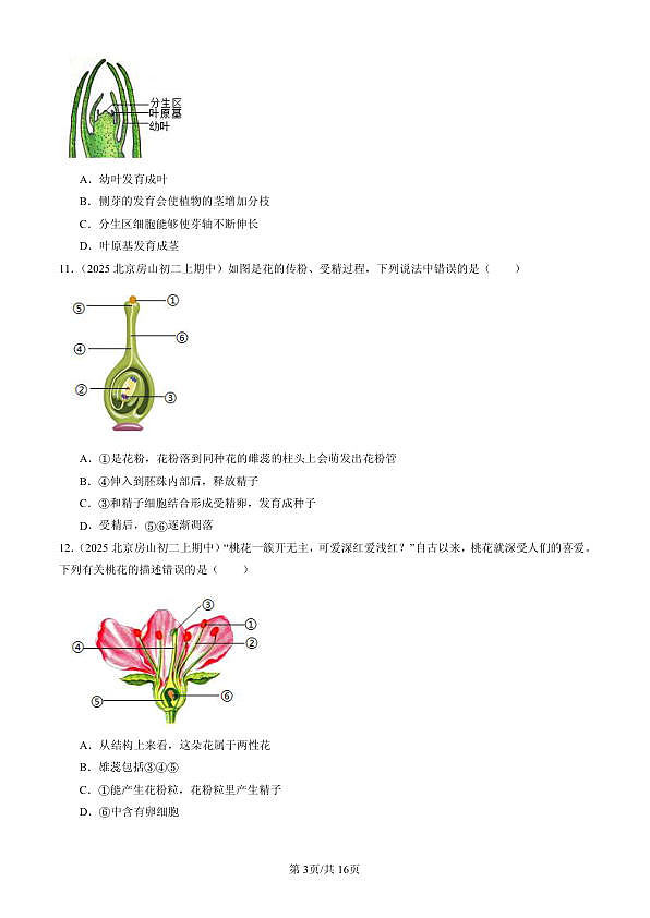 18107022第3页