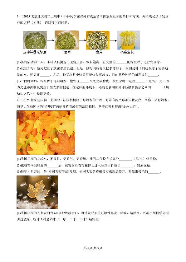 18107023第2页