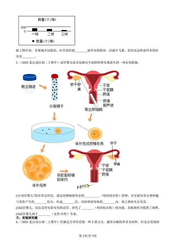 18107023第3页