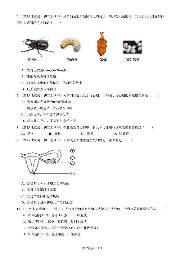 18107024第2页