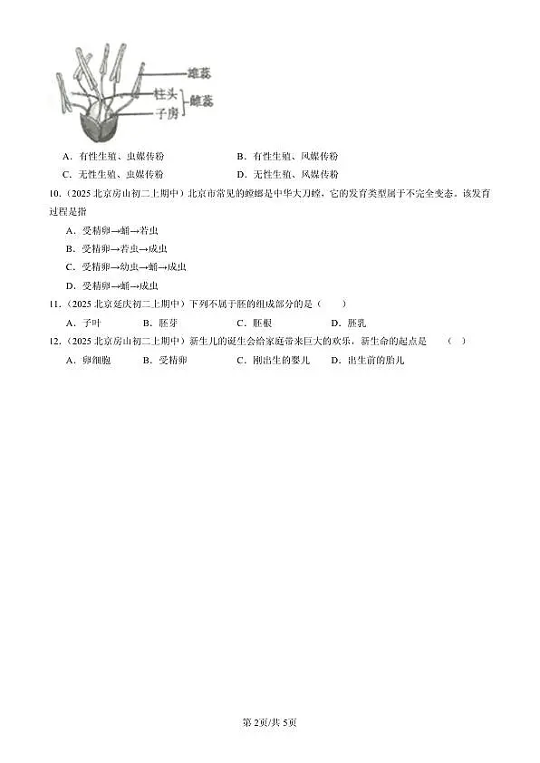 18107025第2页
