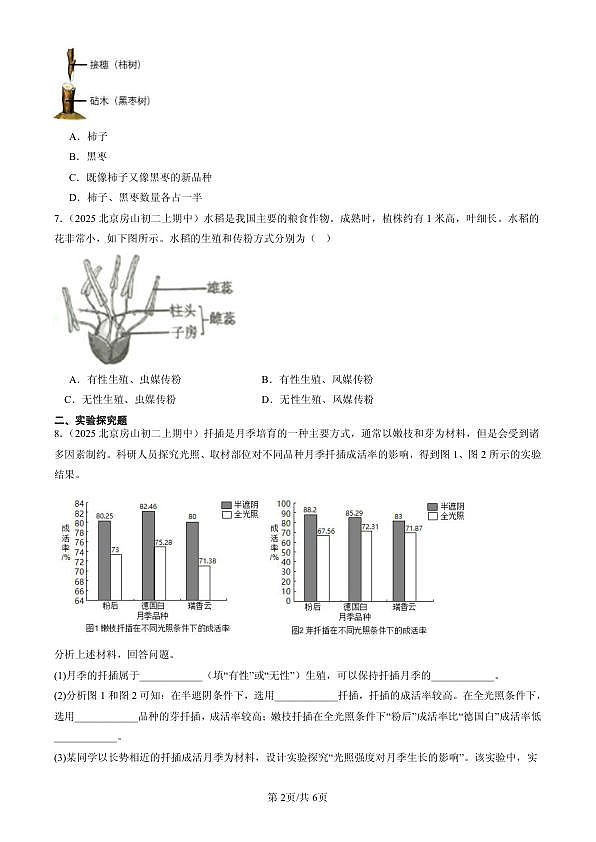 18107029第2页