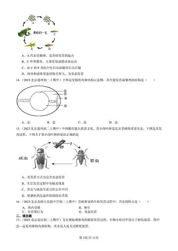 18107030第3页