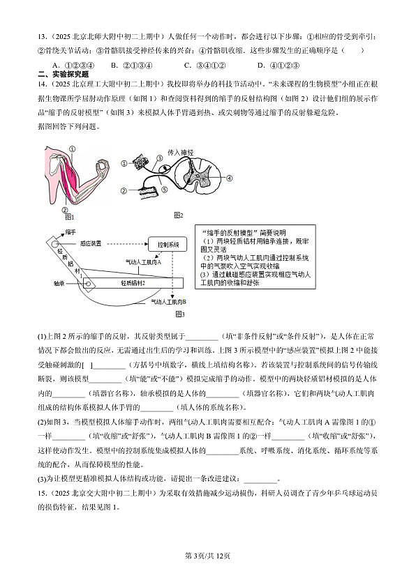 18107037第3页