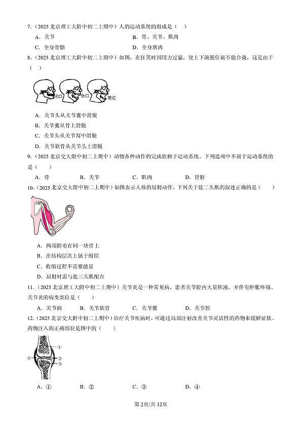 18107038第2页