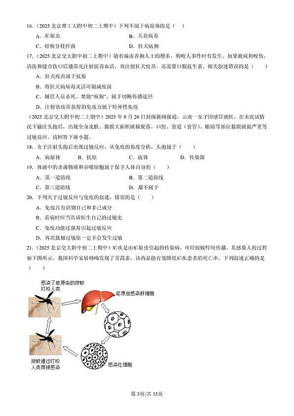 18107040第3页