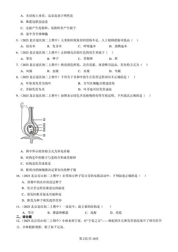 18107042第2页