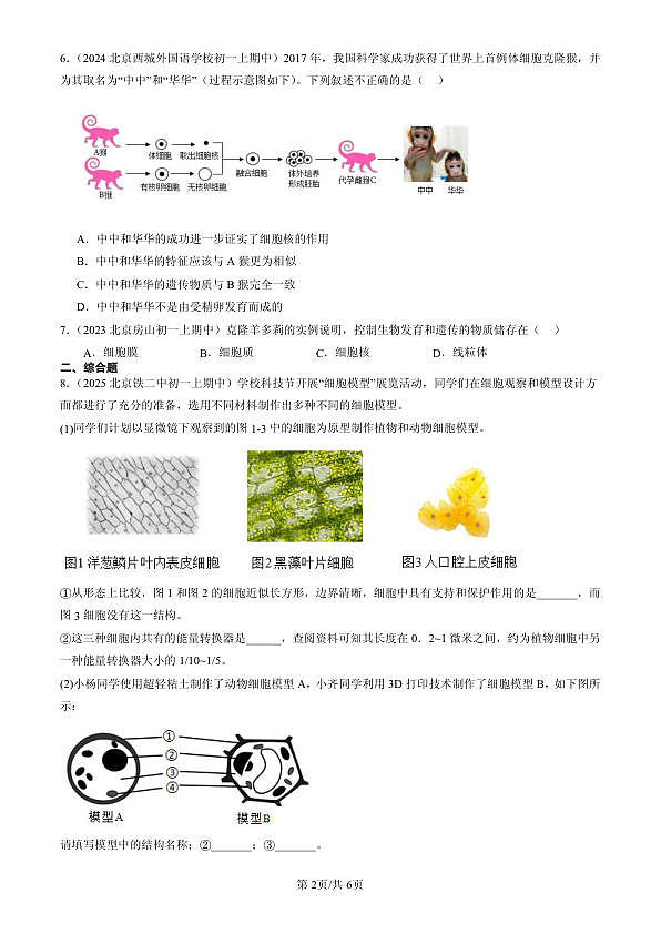 18107046第2页