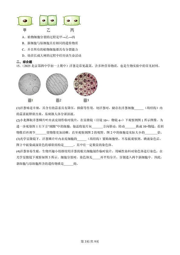 18107047第3页