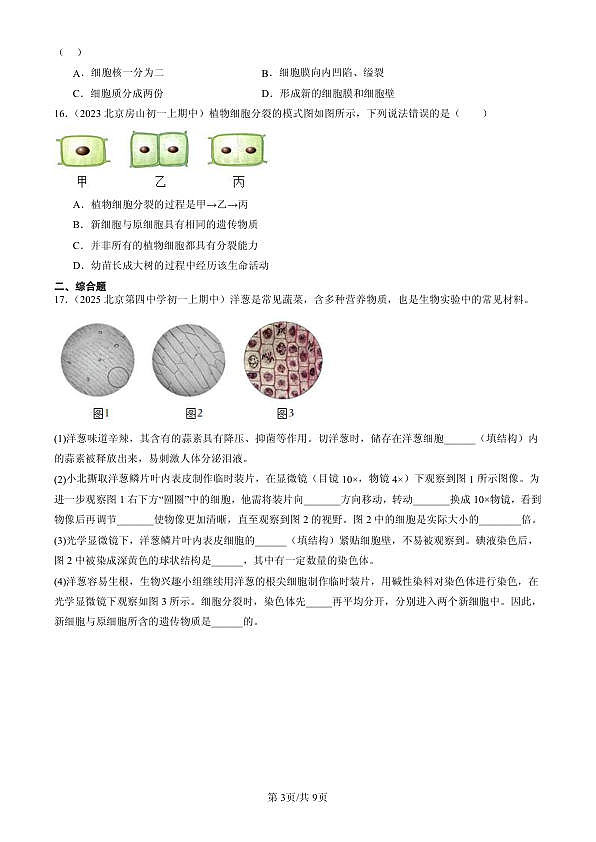 18107048第3页
