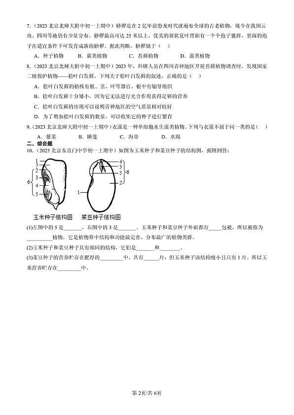 18107052第2页