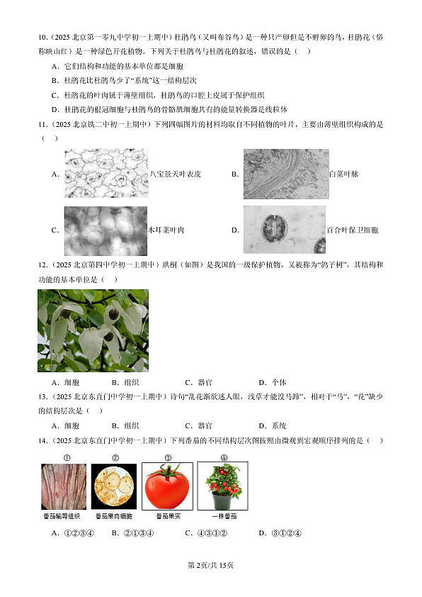 18107053第2页