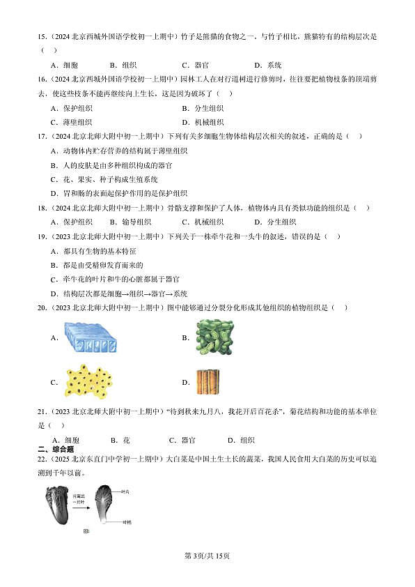 18107053第3页