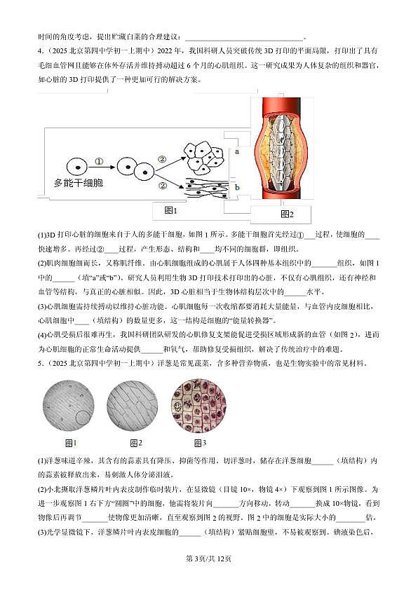 18107057第3页