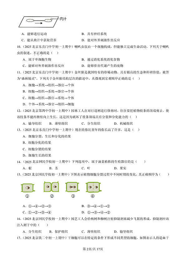 18107058第2页