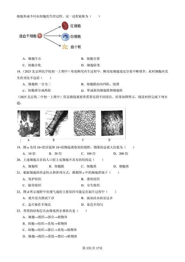 18107058第3页