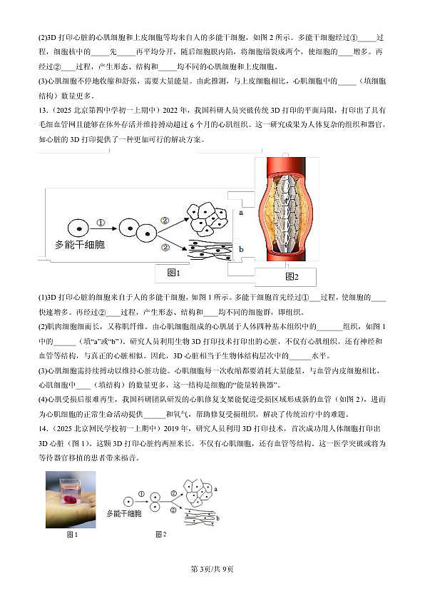 18107071第3页