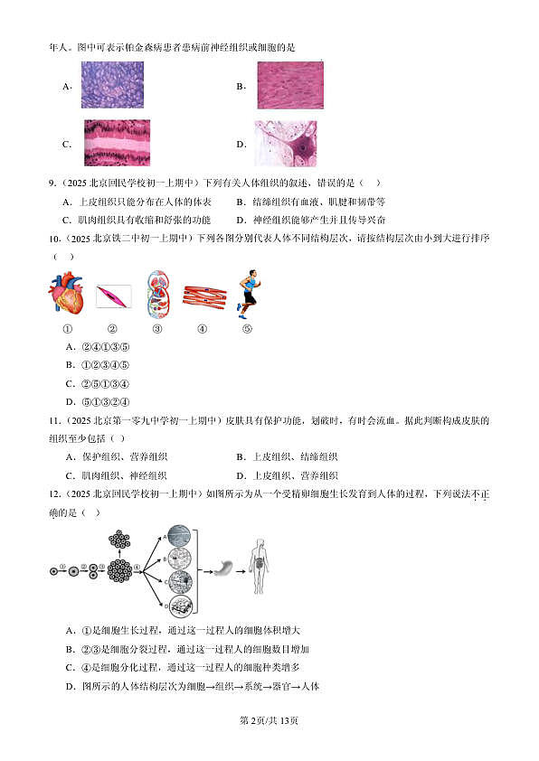 18107072第2页