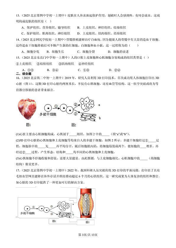 18107072第3页