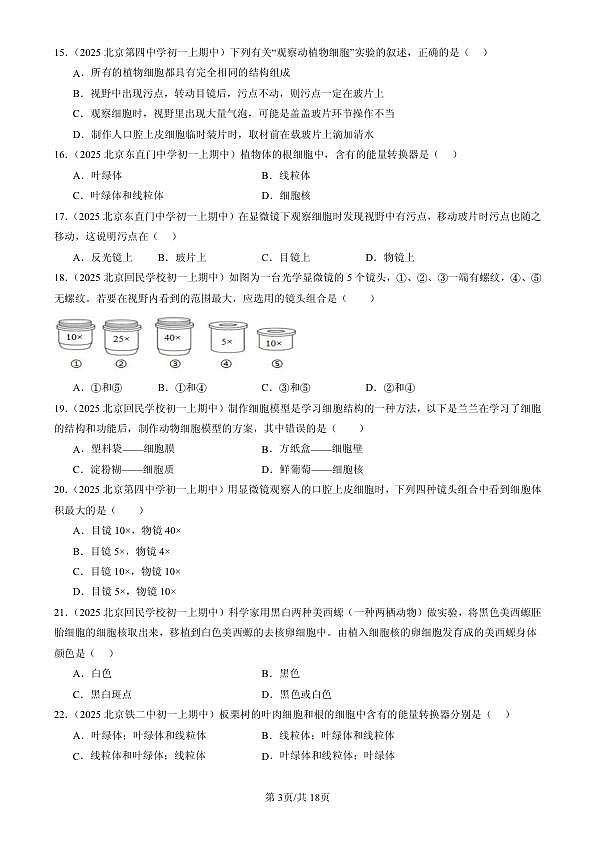 18107078第3页