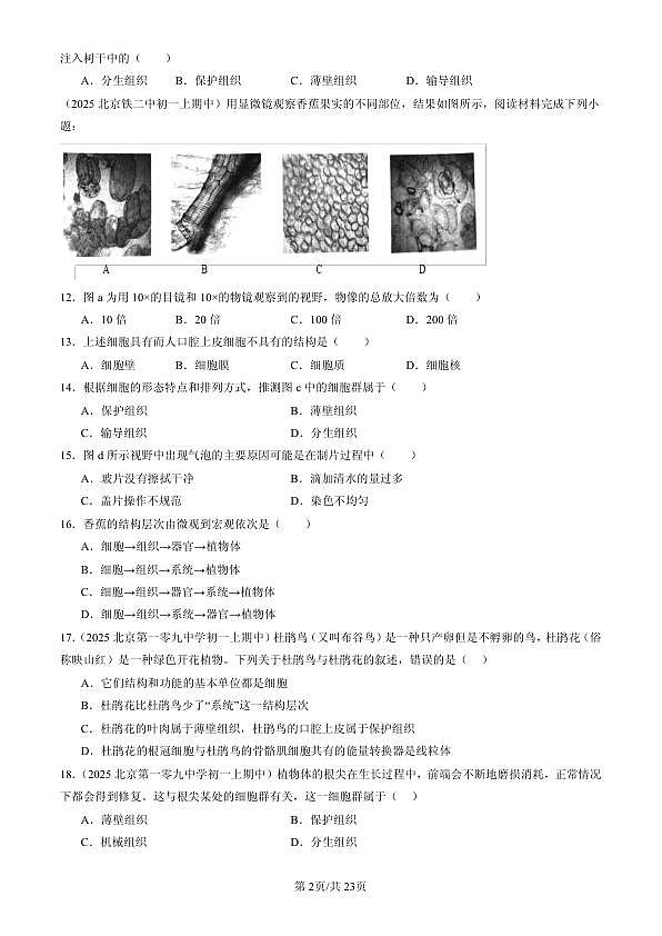 18107079第2页