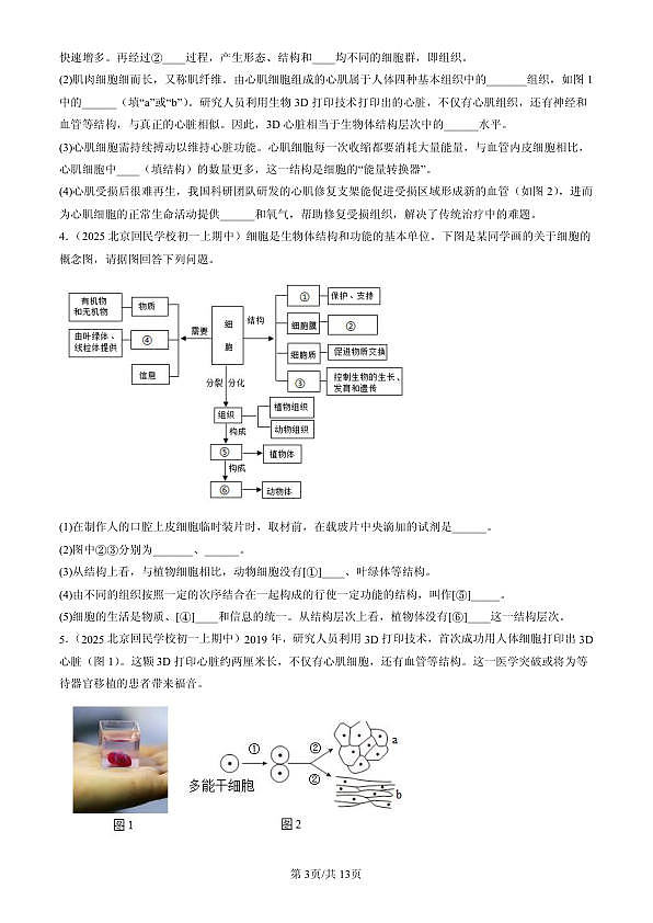 18107080第3页