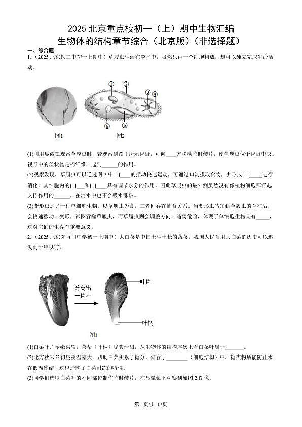 18107082第1页