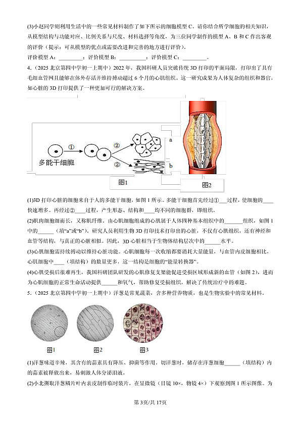 18107082第3页