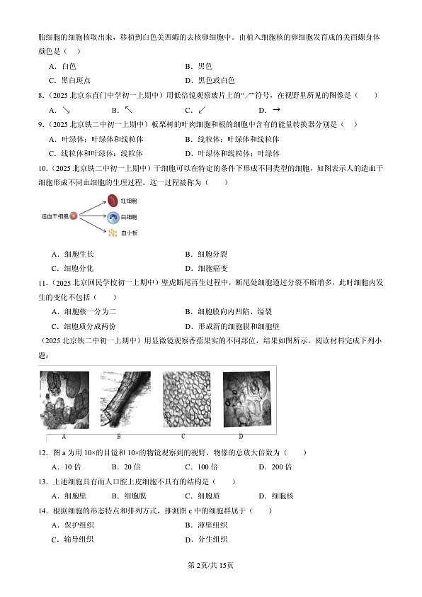 18107084第2页