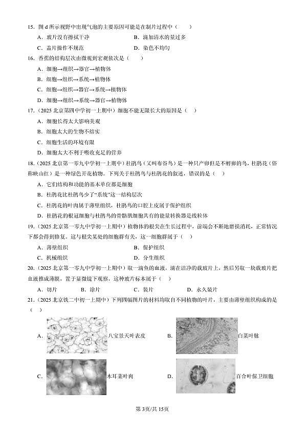18107084第3页