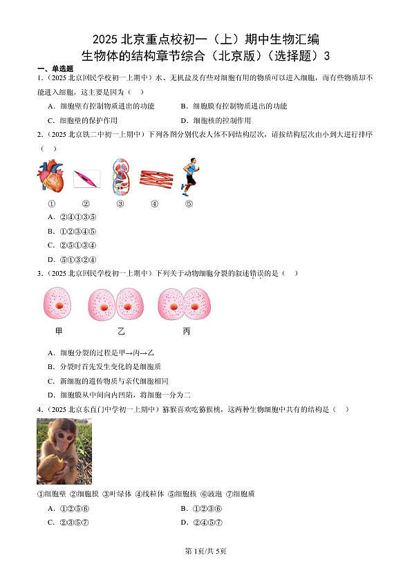 18107085第1页
