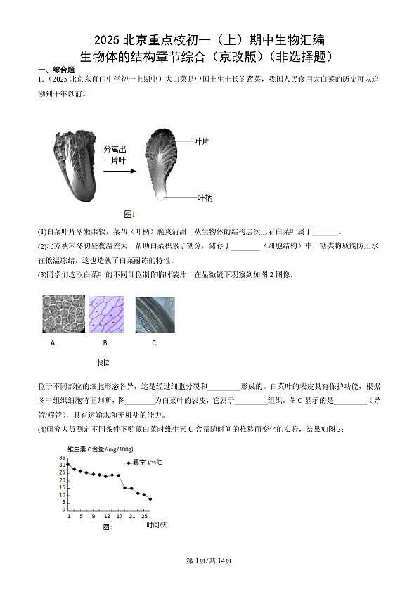 18107086第1页