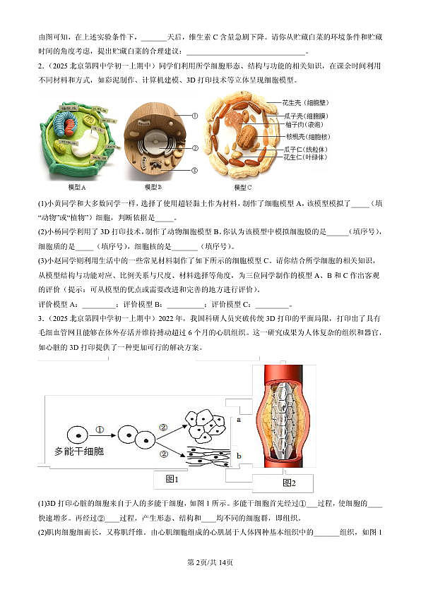 18107086第2页
