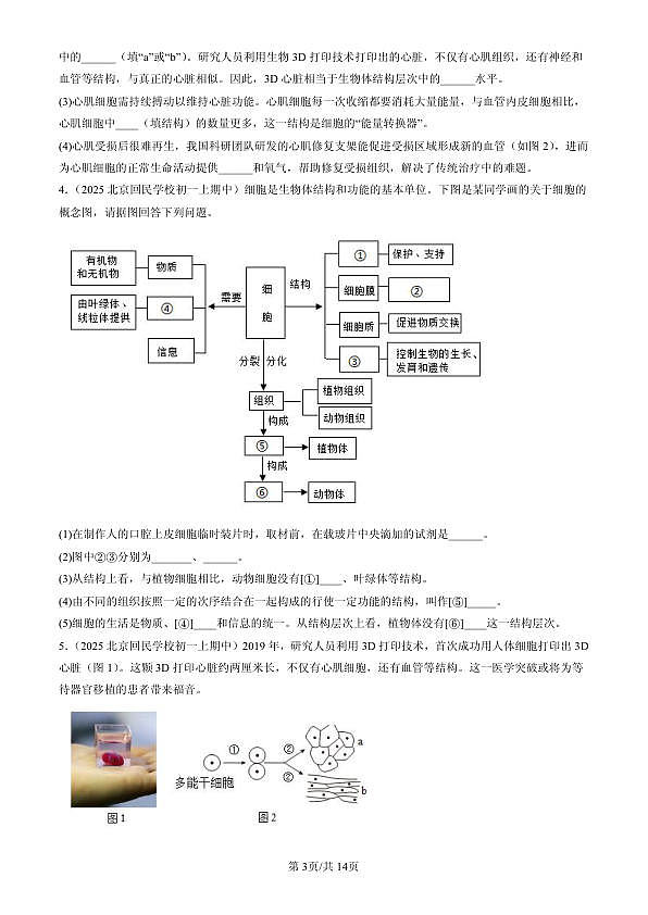 18107086第3页