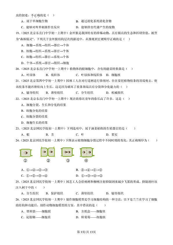 18107087第3页