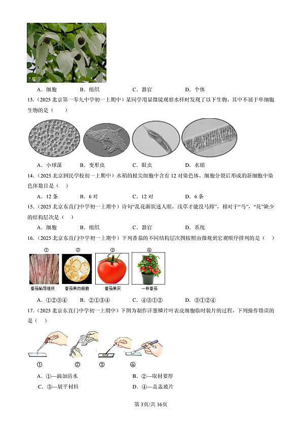 18107088第3页