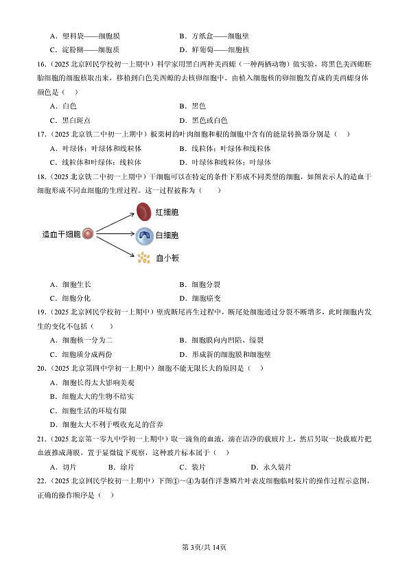 18107093第3页